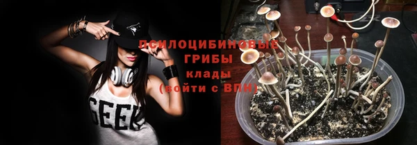 дурь Пересвет