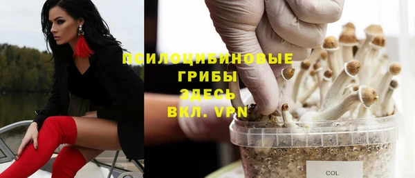 амф Пестово