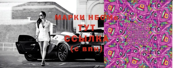 прущий лед Арсеньев