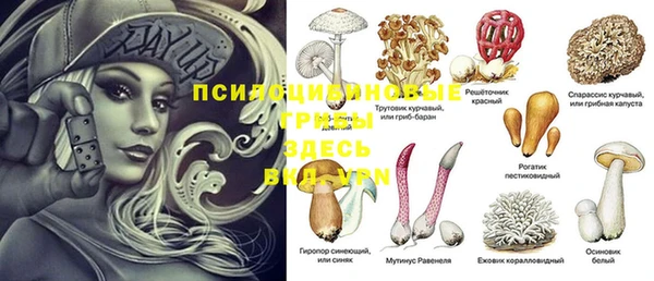 прущий лед Арсеньев
